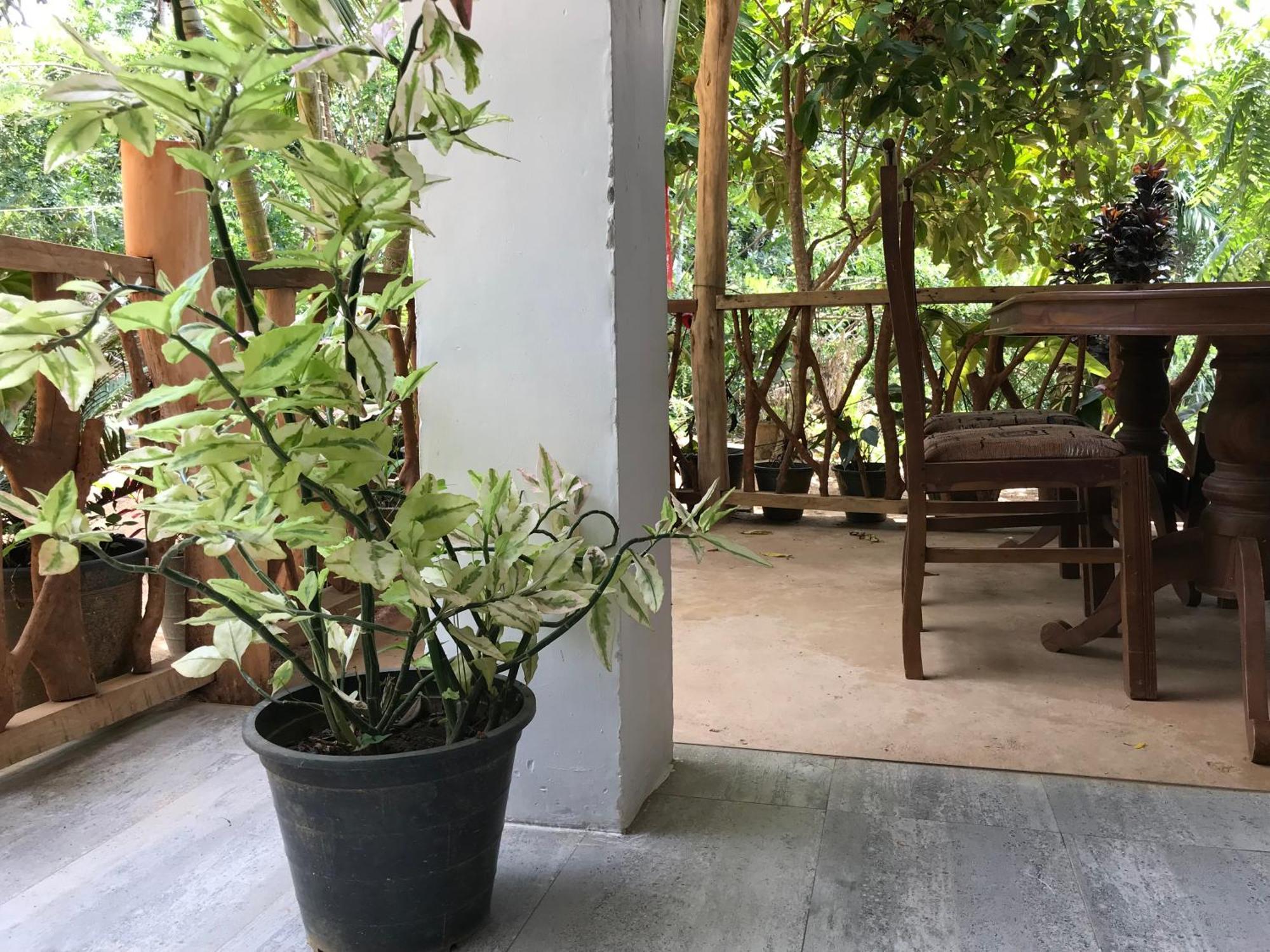 Ella Rawana Resort Kültér fotó