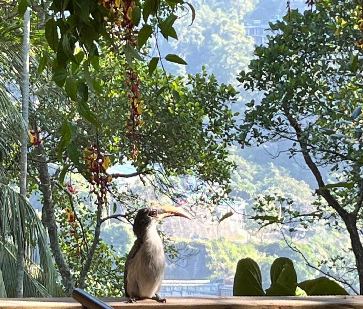 Ella Rawana Resort Kültér fotó